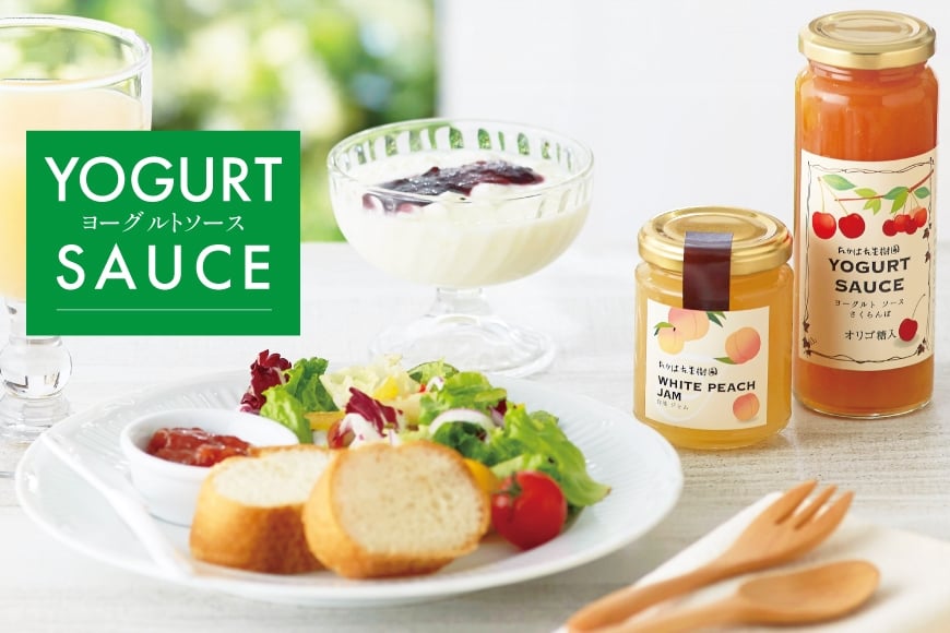 ヨーグルト ソース ブルーベリー 12本 セット [たかはた果樹園 山形県 高畠町 tk06ays650020] 詰め合わせ フルーツ ブルーベリー