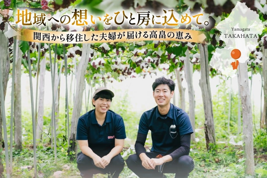 【期間限定発送】 ぶどう デラウェア 5〜8房 約 1kg [いわた果樹園 山形県 高畠町 tk06ayt400003] 種無し ブドウ 葡萄 くだもの 果物 フルーツ 産地直送 農家直送