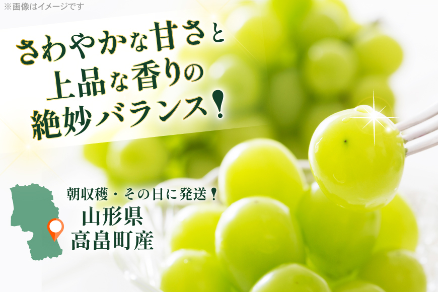 【期間限定発送】 シャインマスカット 6〜8房 満杯詰め 約4kg [本田農園 山形県 高畠 tk06ays820005] シャイン マスカット 葡萄 果物 くだもの 2キロ 箱入り×2箱