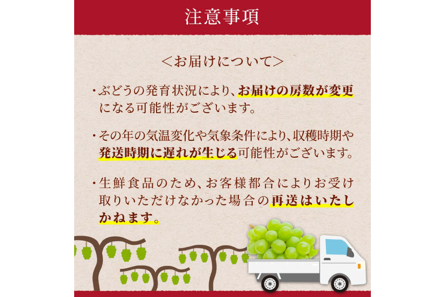 【期間限定発送】 家庭用 訳あり シャインマスカット 2〜3房 約1.2kg [いわた果樹園 山形県 高畠町 tk06ayt400007] ぶどう ブドウ 葡萄 フルーツ 果物 くだもの 甘い シャイン マスカット