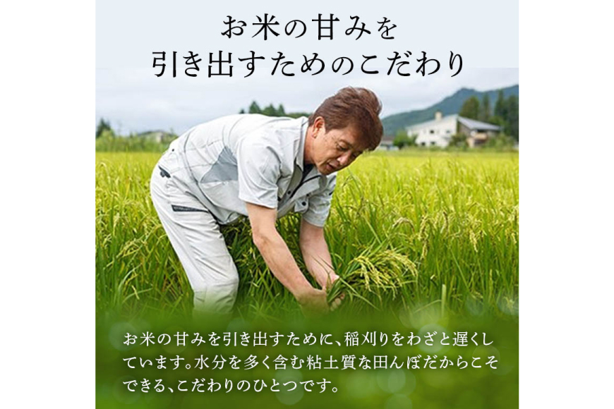 米 令和7年産 ミルキークイーン 2kg 有機JAS 精米 [農家の蔵出し米生産組合 山形県 高畠町 tk06ays900036] コメ ご飯 ごはん お米 ブランド米