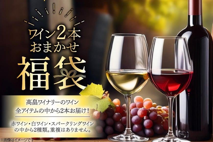 ワイン 高畠ワイナリー 2種 720ml×各1品（全2本）おまかせセット [小田部商店 山形県 高畠町 tk06ayt180004] 酒 お酒 飲み比べ 酒 さけ アルコール 飲み比べ セット パーティー