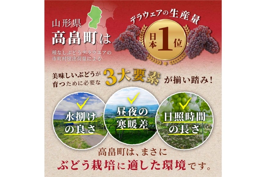 【期間限定発送】 シャインマスカット 2〜3房 約 1.5kg [いわた果樹園 山形県 高畠町 tk06ayt400001] ぶどう ブドウ 葡萄 フルーツ 果物 くだもの 1.5キロ 甘い