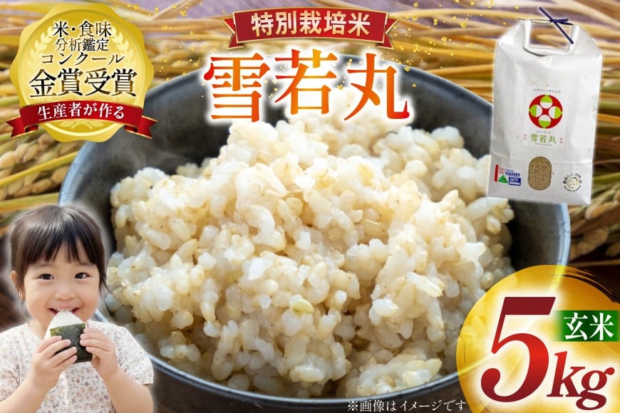 米 令和7年産 雪若丸 5kg 特別栽培米 玄米 [農家の蔵出し米生産組合 山形県 高畠町 tk06ays900005] コメ ご飯 ごはん お米 ブランド米
