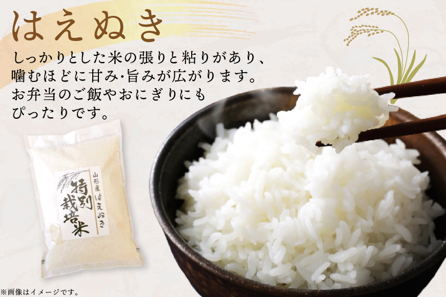 米 定期便 9回 令和8年産 特別栽培米 はえぬき 10kg 9回 計90kg [渡部ファーム 山形県 高畠町 tk06ays810050] お米 白米 精米 ごはん ご飯 ブランド米