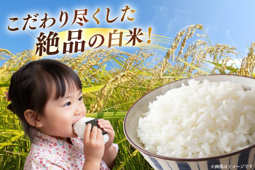 米 定期便 3回 令和7年産 特別栽培米 ミルキークイーン 5kg 3回 計15kg [渡部ファーム 山形県 高畠町 tk06ays810002] お米 白米 精米 ごはん ご飯 ブランド米