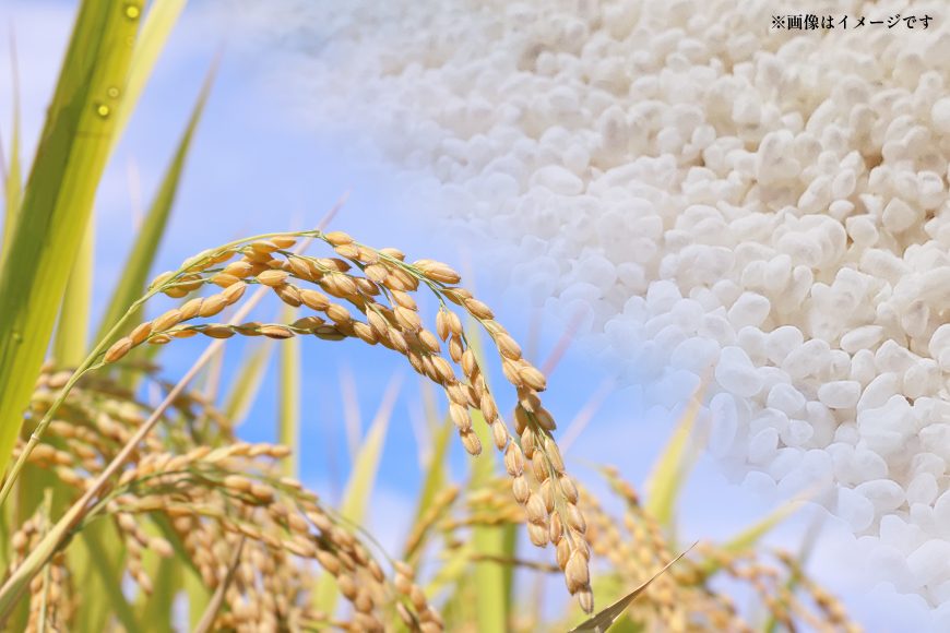 日本酒 辛口 純米生酒 発泡にごり 720ml 2本 セット [米鶴酒造 山形県 高畠町 tk06ays710012] 酒 お酒 米 720 晩酌 淡麗 すっきり