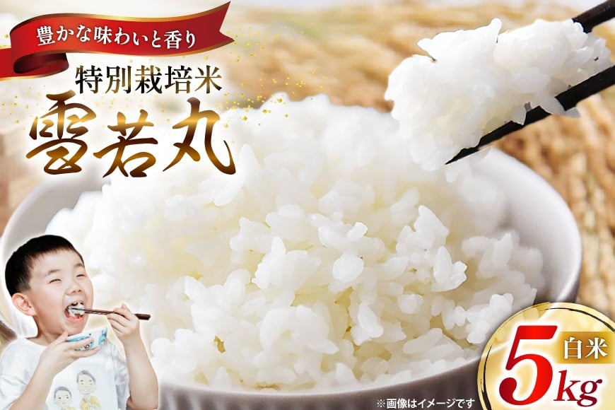 米 令和7年 特別栽培米 雪若丸 5kg [遠藤農園 山形県 高畠町 tk06ayt120000] 5キロ お米 ブランド米 ごはん ご飯 白米 精米 こめ