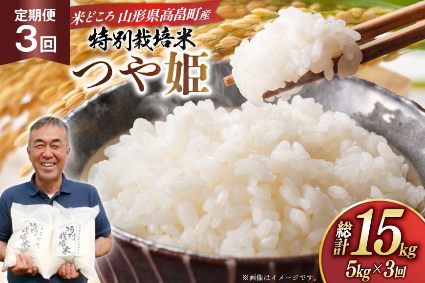 米 定期便 3回 令和7年 つや姫 5kg 3回 計15kg [渡部ファーム 山形県 高畠町 tk06ays810037] お米 白米 精米 ごはん ご飯 ブランド米