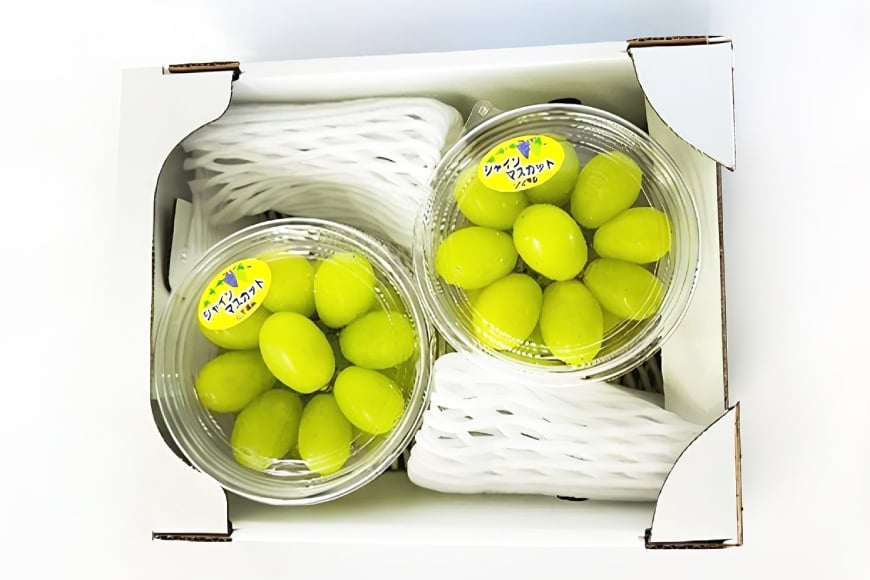 【期間限定発送】 シャインマスカット 粒 280g 4p 1.12kg 朝採れ [もん前の里 山形県 高畠町 tk06ays960007] フルーツ 果物 くだもの ぶどう ブドウ 葡萄 大粒 甘い