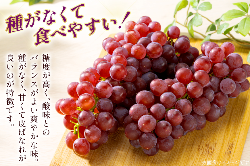 【期間限定発送】 デラウェア 秀品 5〜8房 約 1kg [治右衛門果樹園 山形県 高畠町 tk06ays830010] ぶどう 種無し ブドウ 葡萄 くだもの 果物 フルーツ 産地直送 農家直送 期間限定 甘い