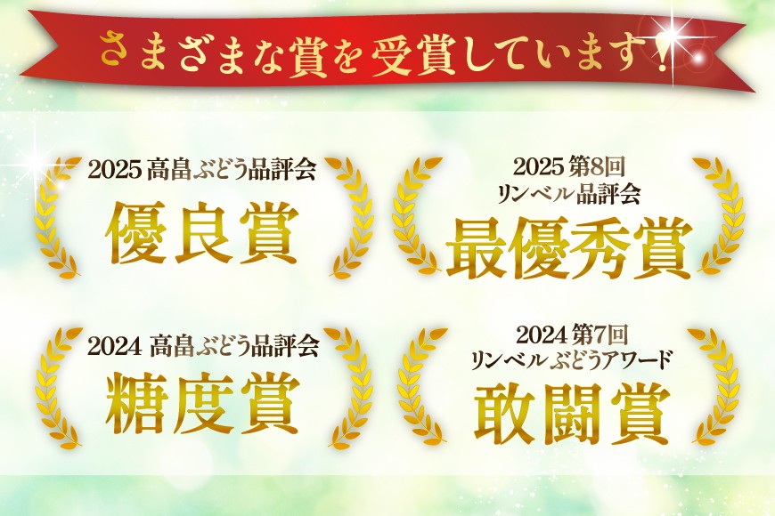 【期間限定発送】 シャインマスカット 6〜8房 満杯詰め 約4kg [本田農園 山形県 高畠 tk06ays820005] シャイン マスカット 葡萄 果物 くだもの 2キロ 箱入り×2箱
