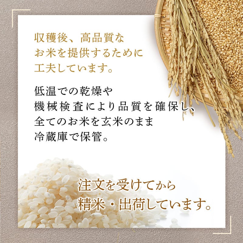 令和7年産 特別栽培米 ミルキークイーン 玄米 5kg [農家の蔵出し米生産組合 山形県 高畠町 tk06ays900030] 米 コメ ご飯 ごはん お米 ブランド米