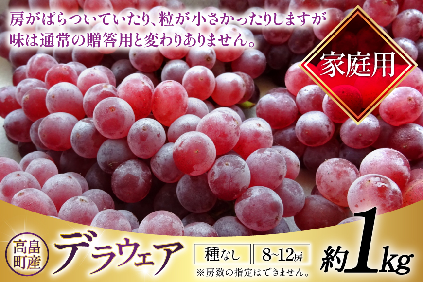 【期間限定発送】 家庭用 訳あり デラウェア 8〜12房 約1kg [いわた果樹園 山形県 高畠町 tk06ayt400006] ぶどう 種無し ブドウ 葡萄 くだもの 果物 フルーツ 産地直送 農家直送 期間限定