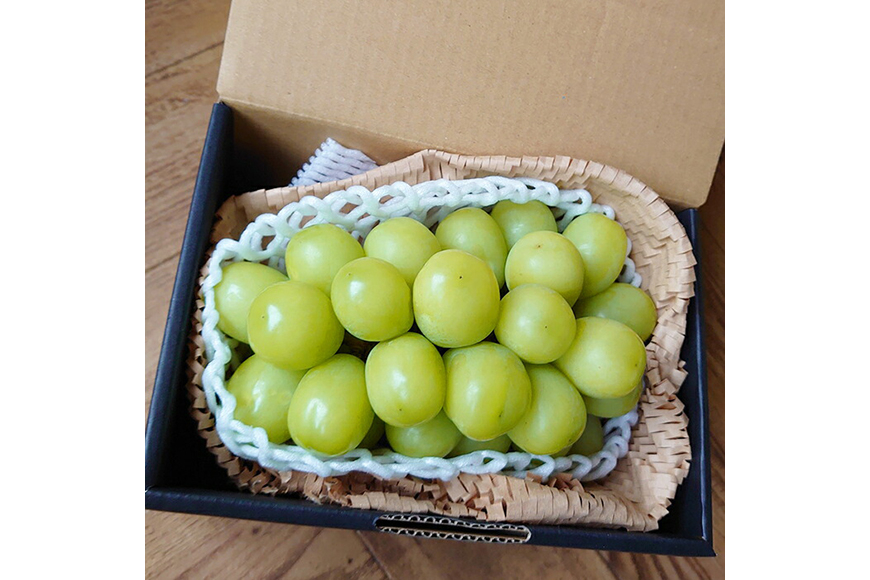 【期間限定発送】 ぶどう クリスマス シャインマスカット 1房 約700g [大野農園 山形県 高畠町 tk06ayt050005] ぶどう ブドウ 葡萄 マスカット 大粒 果物 くだもの フルーツ