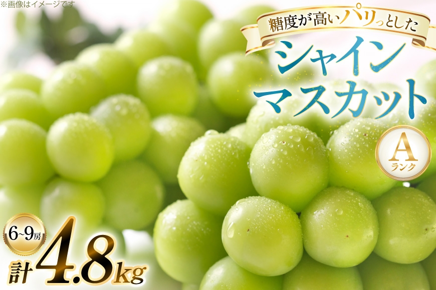 【期間限定発送】 シャインマスカット Aランク 6〜9房 4.8kg [田制農園 山形県 高畠町 tk06ayt230004] ぶどう ブドウ 葡萄 マスカット フルーツ 果物 くだもの 産地直送 農家直送