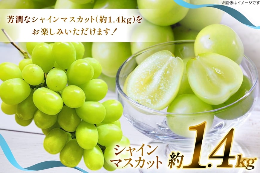 【期間限定発送】 シャインマスカット 約 1.4kg [もん前の里 山形県 高畠町 tk06ays960004] フルーツ 果物 くだもの ぶどう ブドウ 葡萄 1.4キロ 甘い