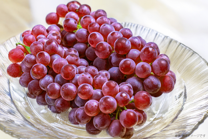 【期間限定発送】 ぶどう デラウェア 約9〜16房 約2kg [齋藤ファーム 山形県 高畠町 tk06bnv890000] 種無し ブドウ 葡萄 くだもの 果物 フルーツ 産地直送 農家直送 果実 デザート 甘い