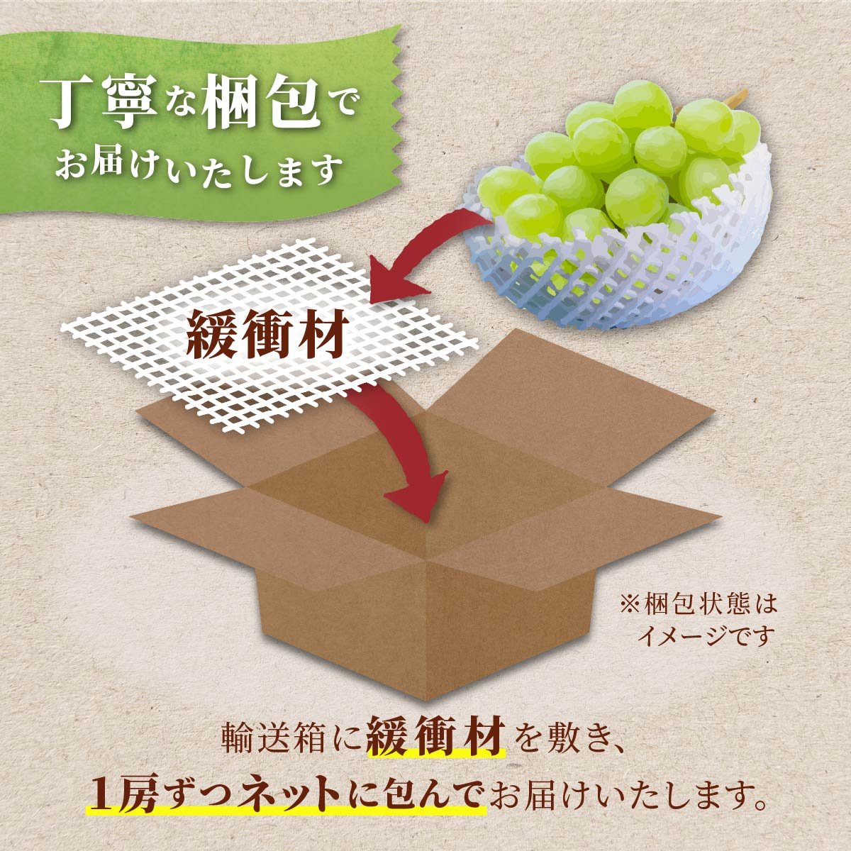 【期間限定発送】 シャインマスカット 訳あり 2〜3房 1.2kg [Yamagenフルーツガーデンレコルト 山形県 高畠町 tk06ayt380003] ご家庭用 ぶどう ブドウ 葡萄 フルーツ 果物 くだもの 1.2キロ 甘い