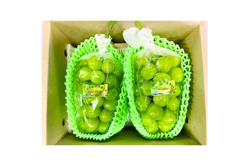 【期間限定発送】 シャインマスカット 2房 約1.2kg [治右衛門果樹園 山形県 高畠町 tk06ays830004] 箱詰め フルーツ 果物 くだもの ぶどう ブドウ 葡萄 1.2キロ 甘い