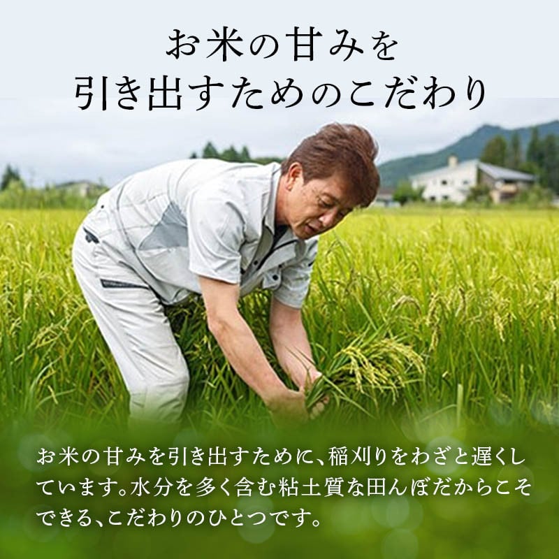 米 令和7年産 ミルキークイーン 5kg 有機JAS 精米 [農家の蔵出し米生産組合 山形県 高畠町 tk06ays900020] コメ ご飯 ごはん お米 ブランド米