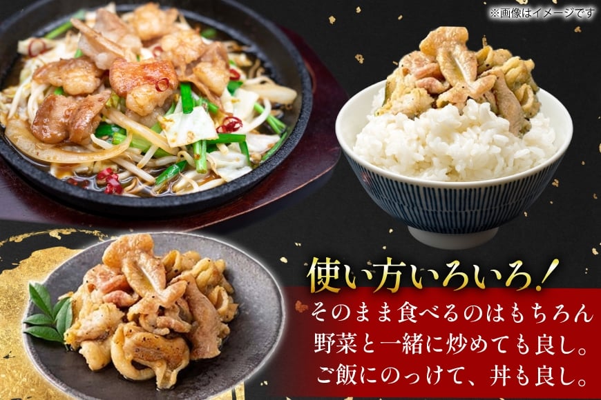 豚肉 ホルモン 塩にんにくホルモン 180g 2p 計360g [りんご苑 山形県 高畠町 tk06ays660006] 焼肉 やきにく 国産 豚 味付き 辛みそ 味噌 小分け 簡単 手軽 調理 おかず 冷凍