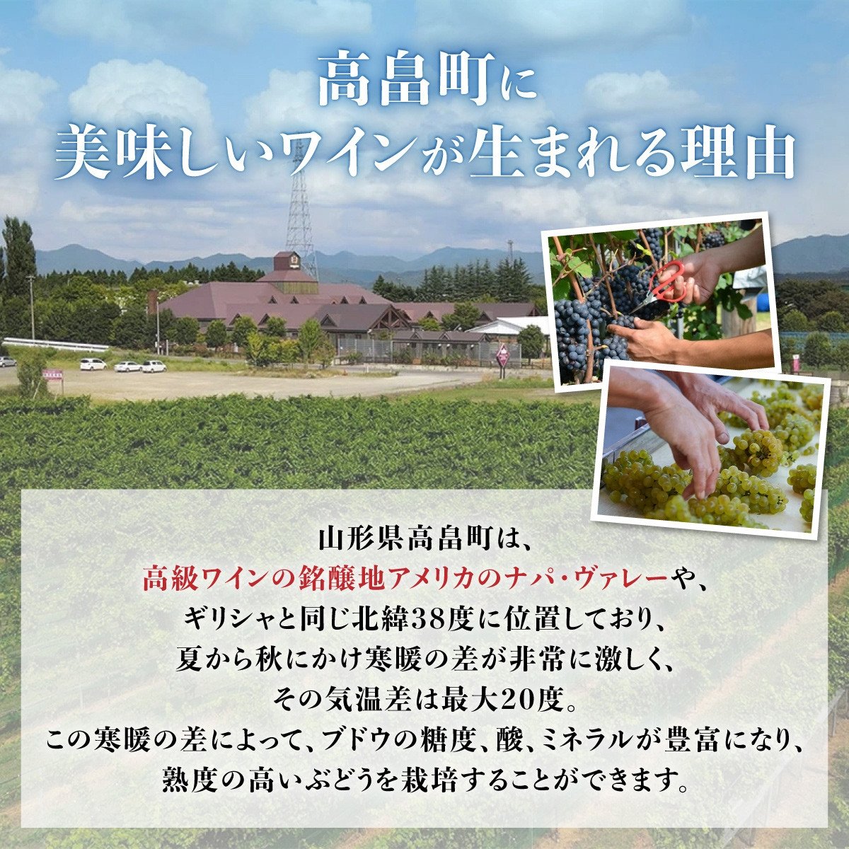 ワイン セット まほろばの貴婦人 720ml 各1本 計2本 [高畠ワイナリー 山形県 高畠町 tk06ays730002] 高畠ワイナリー 飲み比べセット 赤ワイン 白ワイン 高級 プレミアム ブランド 飲み比べ ワインセット 酒