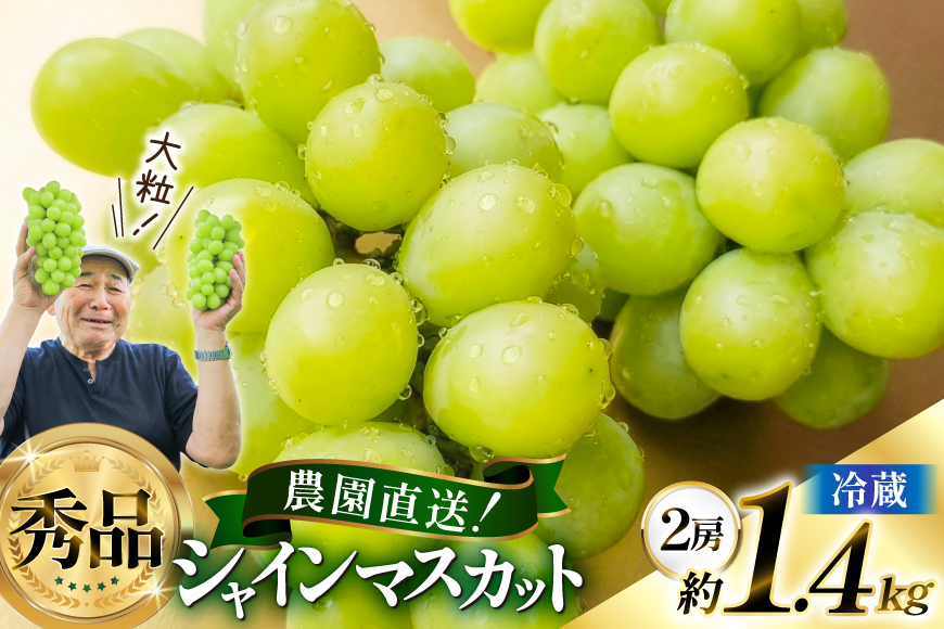 【期間限定発送】 シャインマスカット 秀 2房 約 1.4kg [もん前の里 山形県 高畠町 tk06ays960004] フルーツ 果物 くだもの ぶどう ブドウ 葡萄 1.4キロ 甘い