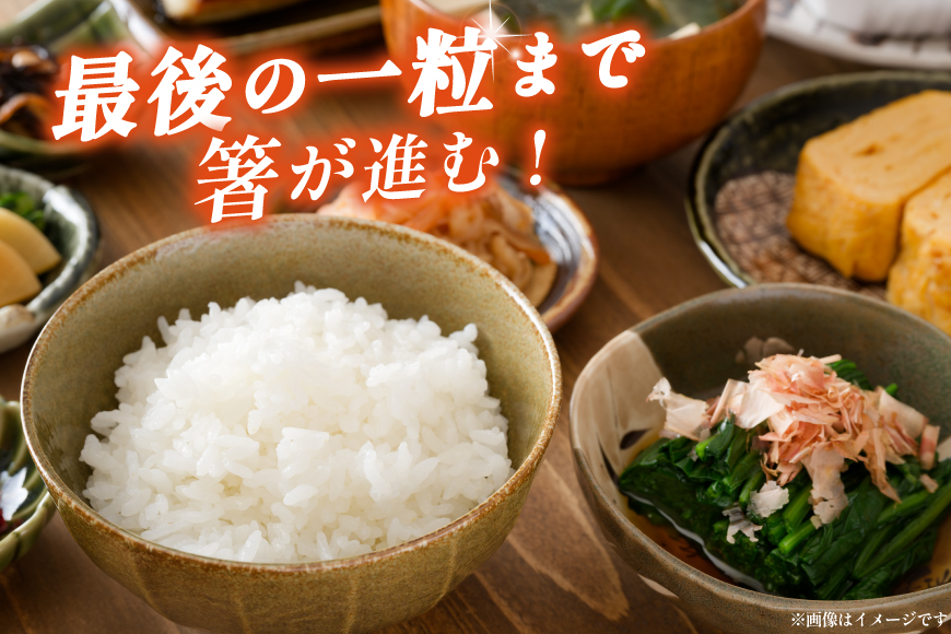 米 定期便 9回 令和8年産 特別栽培米 雪若丸 10kg 9回 計90kg [渡部ファーム 山形県 高畠町 tk06ays810052] お米 白米 精米 ごはん ご飯 ブランド米