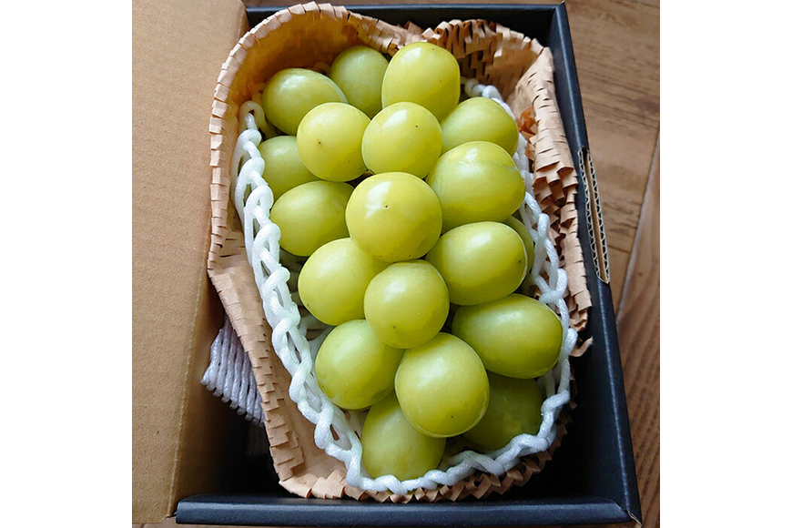 【期間限定発送】 ぶどう クリスマス シャインマスカット 1房 約700g [大野農園 山形県 高畠町 tk06ayt050005] ぶどう ブドウ 葡萄 マスカット 大粒 果物 くだもの フルーツ