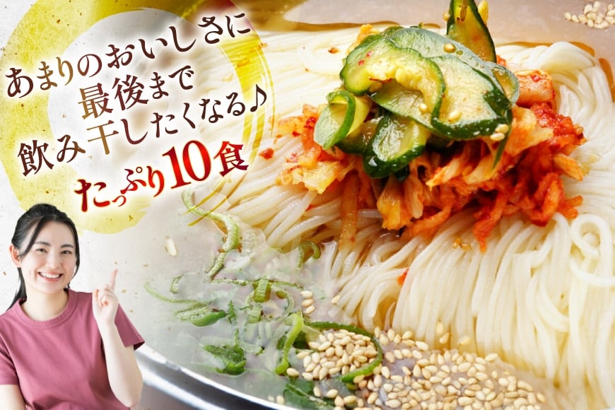 冷麺 定期便 3回 りんご苑の冷麺 スープ付 10食 計30食 [りんご苑 山形県 高畠町 tk06ays660002] スープ 自家製 生麺 時短 簡単 手軽 冷凍