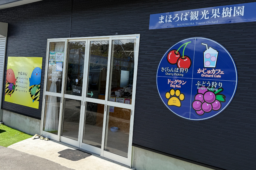 100% ぶどう ジュース 1L 6本 セット [まほろばかじゅ園 山形県 高畠町 tk06bim610000] 葡萄 ブドウ 飲み物 飲料 農家直送 産地直送 デラウェア 果汁 果実 果物 くだもの フルーツ