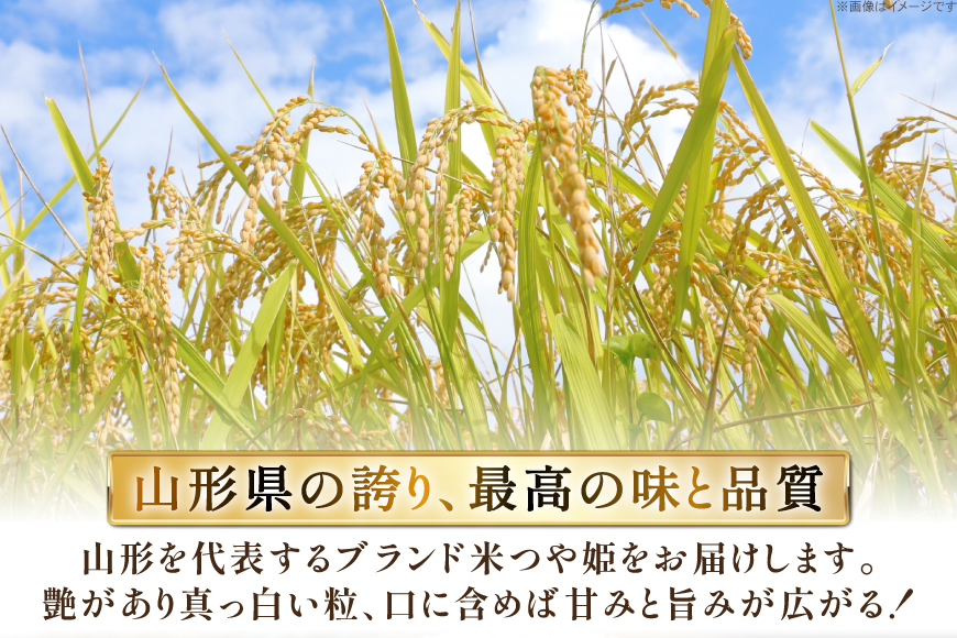 米 令和7年 コシヒカリ 5kg 2P 計 10kg [JA山形おきたま 山形県 高畠町 tk06ays870003] 5キロ 10キロ お米 ブランド米 ごはん ご飯 白米 精米 おこめ こめ こしひかり