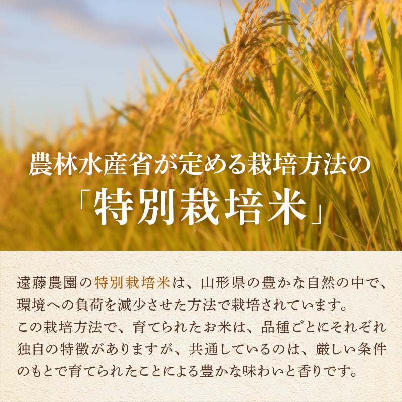 米 令和7年 特別栽培米 雪若丸 5kg [遠藤農園 山形県 高畠町 tk06ayt120000] 5キロ お米 ブランド米 ごはん ご飯 白米 精米 こめ