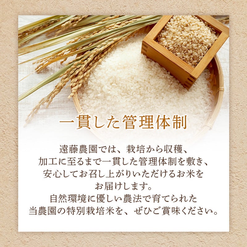 米 令和7年 特別栽培米 雪若丸 5kg [遠藤農園 山形県 高畠町 tk06ayt120000] 5キロ お米 ブランド米 ごはん ご飯 白米 精米 こめ