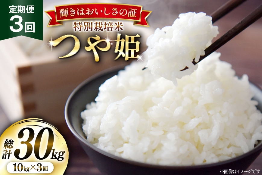 米 定期便 3回 令和8年産 特別栽培米 つや姫 10kg (5kg×2) [本田勇仁 山形県 高畠町 tk06bgj910007] お米 白米 精米 ごはん ご飯 ブランド米