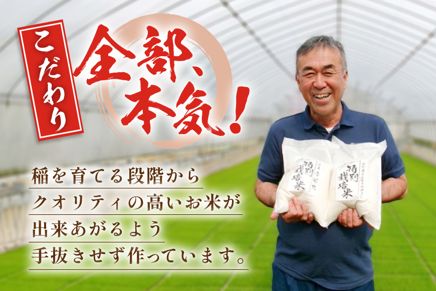 米 定期便 9回 令和8年産 特別栽培米 雪若丸 10kg 9回 計90kg [渡部ファーム 山形県 高畠町 tk06ays810052] お米 白米 精米 ごはん ご飯 ブランド米