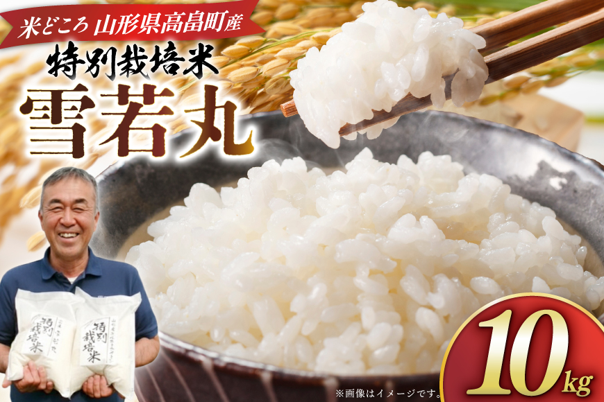 米 令和8年度産 特別栽培米 雪若丸 10kg [渡部ファーム 山形県 高畠町 tk06ays810029] お米 白米 精米 ごはん ご飯 ブランド米