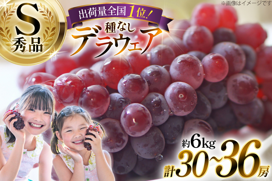 【期間限定発送】 ぶどう デラウェア 秀品 30〜36房 約6kg [治右衛門果樹園 山形県 高畠町 tk06ays830019] 種無し ブドウ 葡萄 くだもの 果物 フルーツ 産地直送 農家直送 期間限定 甘い 種なし