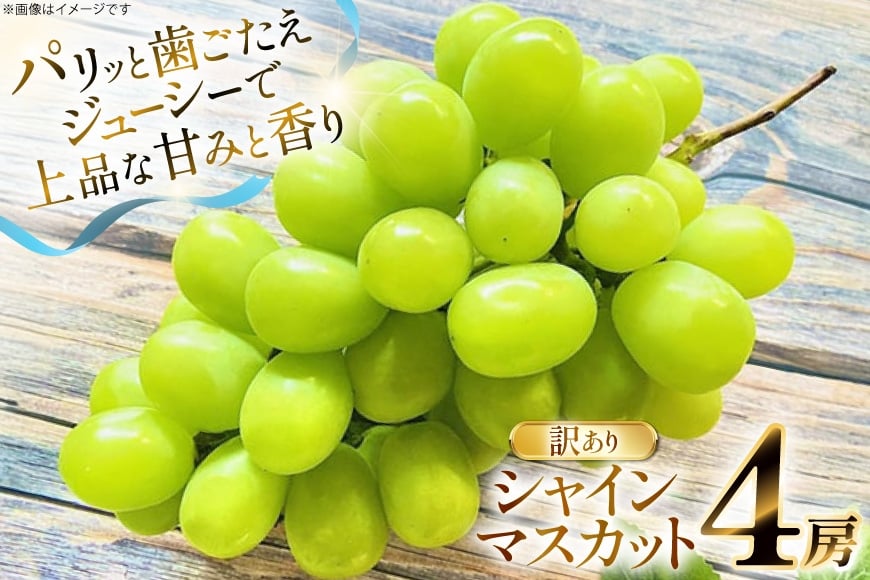 【期間限定発送】 シャインマスカット 訳あり 4房 2.2kg [もん前の里 山形県 高畠町 tk06ays960001] フルーツ 果物 くだもの ぶどう ブドウ 葡萄 2.2キロ 甘い