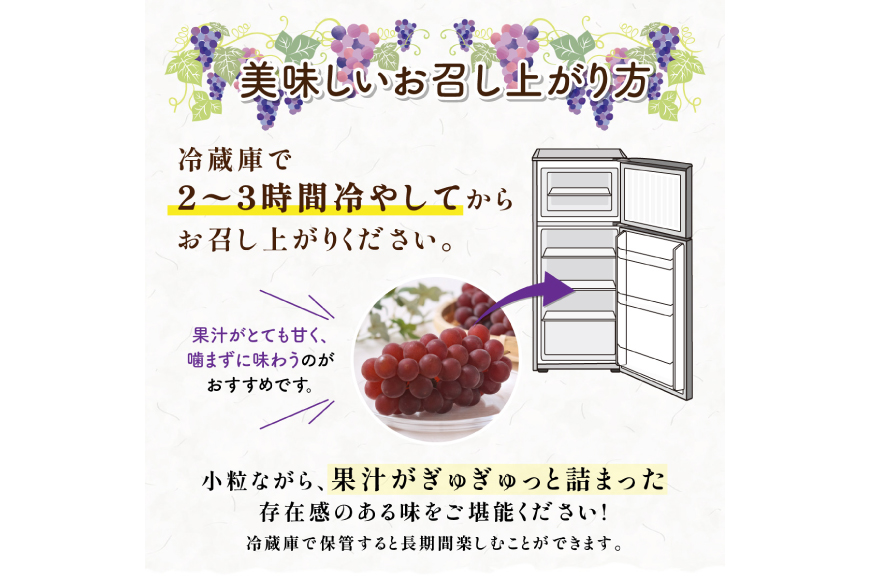 【期間限定発送】 デラウェア 秀品 5〜8房 約 1kg [治右衛門果樹園 山形県 高畠町 tk06ays830010] ぶどう 種無し ブドウ 葡萄 くだもの 果物 フルーツ 産地直送 農家直送 期間限定 甘い