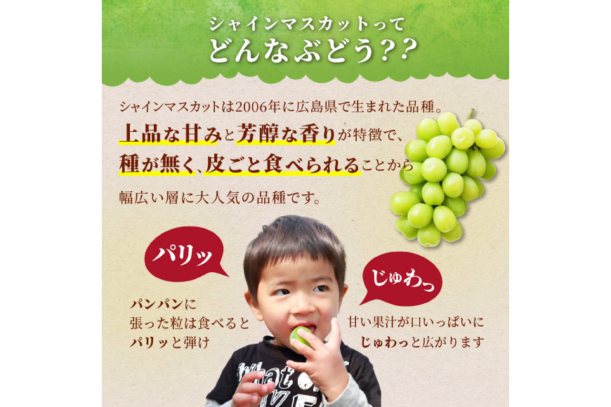 【期間限定発送】 家庭用 訳あり シャインマスカット 2〜3房 約1.2kg [いわた果樹園 山形県 高畠町 tk06ayt400007] ぶどう ブドウ 葡萄 フルーツ 果物 くだもの 甘い シャイン マスカット