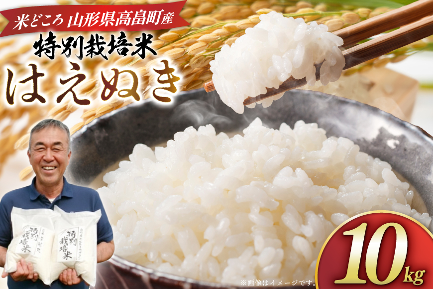 米 令和8年 はえぬき 10kg [渡部ファーム 山形県 高畠町 tk06ays810034] お米 白米 精米 ごはん ご飯 ブランド米