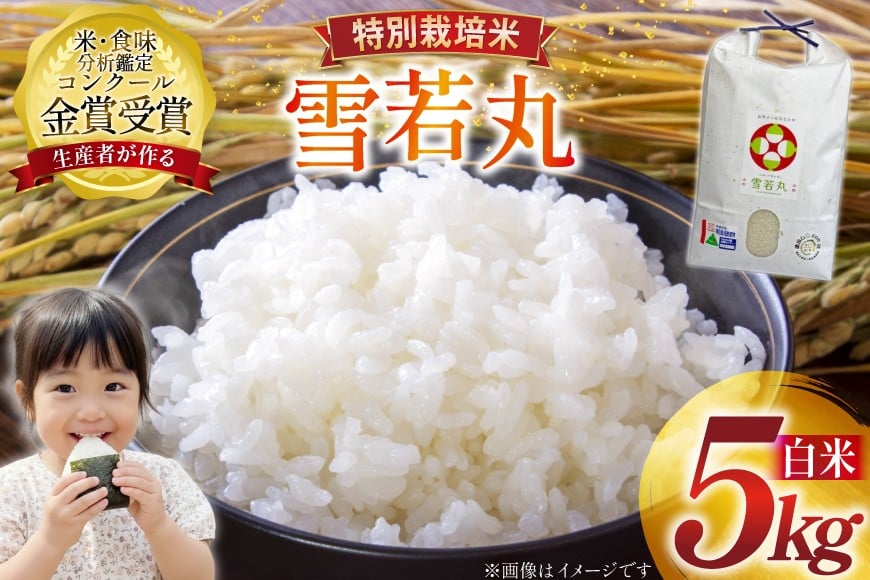 米 令和7年産 雪若丸 5kg 特別栽培米 精米 [農家の蔵出し米生産組合 山形県 高畠町 tk06ays900000] コメ ご飯 ごはん お米 ブランド米