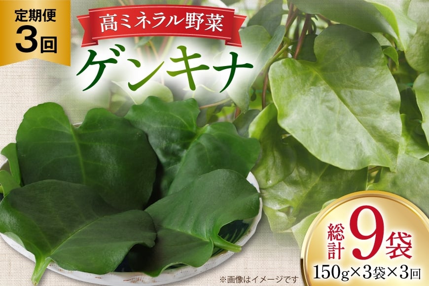 ゲンキナ 150g 3p 3回 定期便 総計9P [よねおりかんこうセンター 山形県 高畠町 tk06ays760009] 野菜 やさい 腸活 オカワカメ