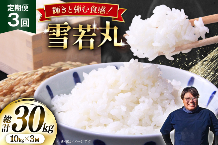 米 定期便 3回 令和8年産  雪若丸 10kg (5kg×2) [本田勇仁 山形県 高畠町 tk06bgj910003] お米 白米 精米 ごはん ご飯 ブランド米