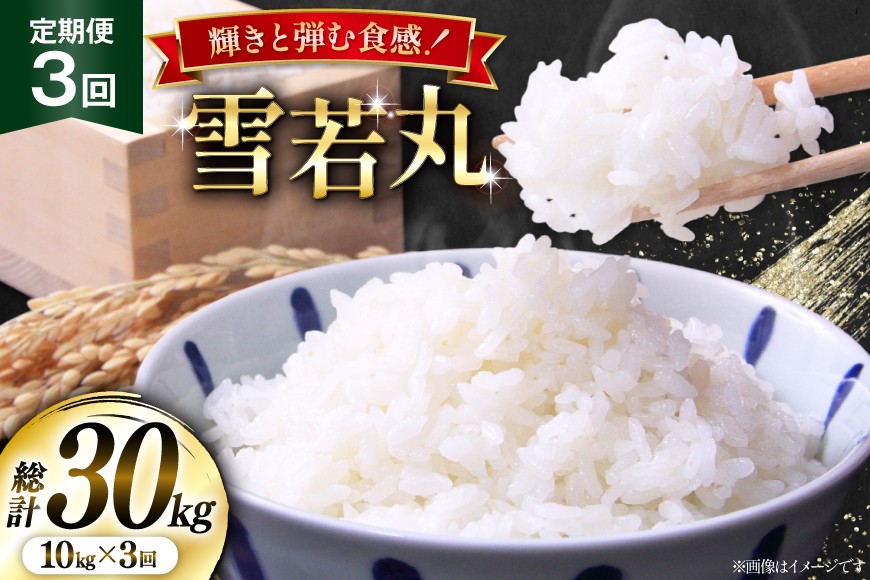 米 定期便 3回 令和8年産  雪若丸 10kg (5kg×2) [本田勇仁 山形県 高畠町 tk06bgj910003] お米 白米 精米 ごはん ご飯 ブランド米