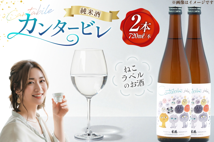 日本酒 辛口 純米カンタービレ 720ml 2本 セット [米鶴酒造 山形県 高畠町 tk06ays710013] 酒 お酒 米 720 晩酌 淡麗 すっきり