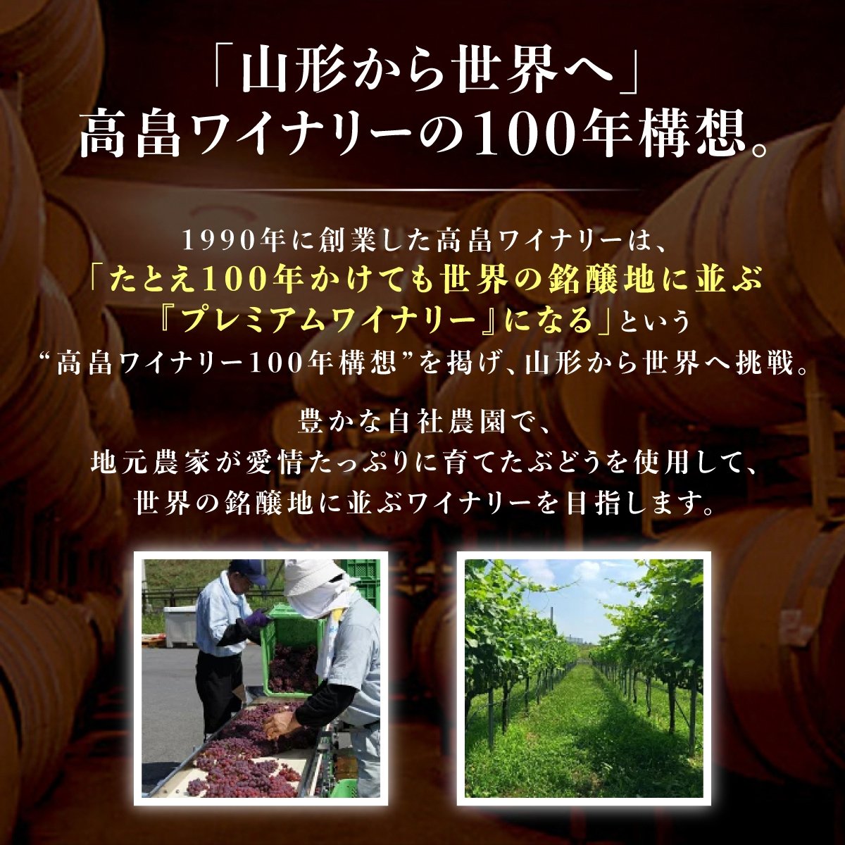 ワイン 高畠レ･トロワ･シゾー･ド･オオウラ･エン･カミワダ･シラー 750ｍl 1本 [高畠ワイナリー 山形県 高畠町 tk06ays730020] 辛口 高畠ワイン 高畠ワイナリー 赤ワイン 酒