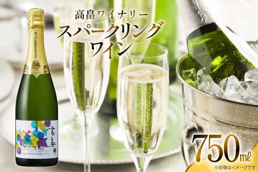 スパークリング 高畠ワイナリースパークリングワイン 750ml 1本 [小田部商店 山形県 高畠町 tk06ayt180155] 白ワイン やや辛口 デラウェア お酒 酒